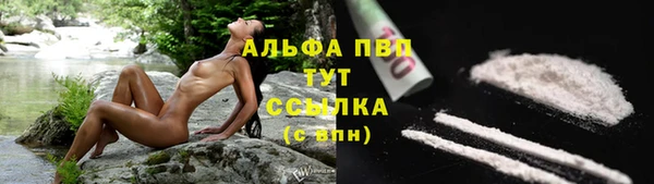 эйфоретик Бородино