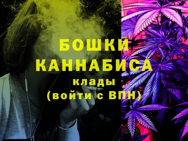 эйфоретик Бородино