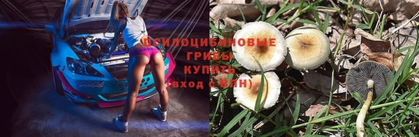 тгк Бугульма