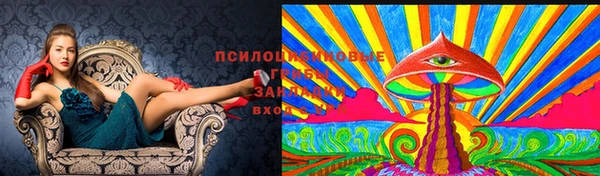 эйфоретик Бородино