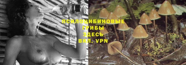 прущие крисы Бронницы
