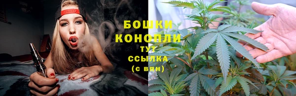 эйфоретик Бородино