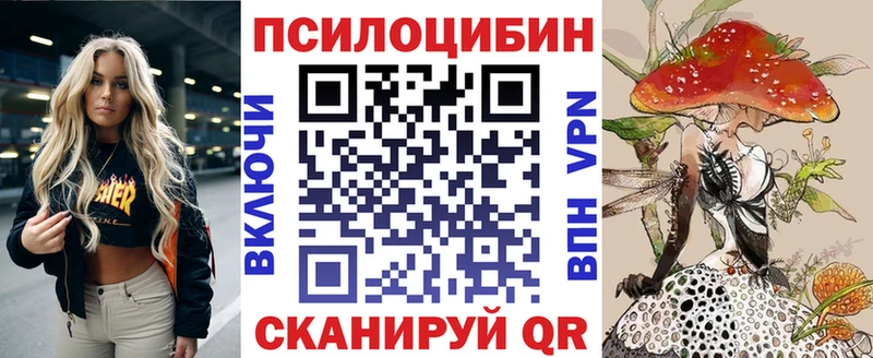 купить наркоту  Константиновск  Псилоцибиновые грибы GOLDEN TEACHER 